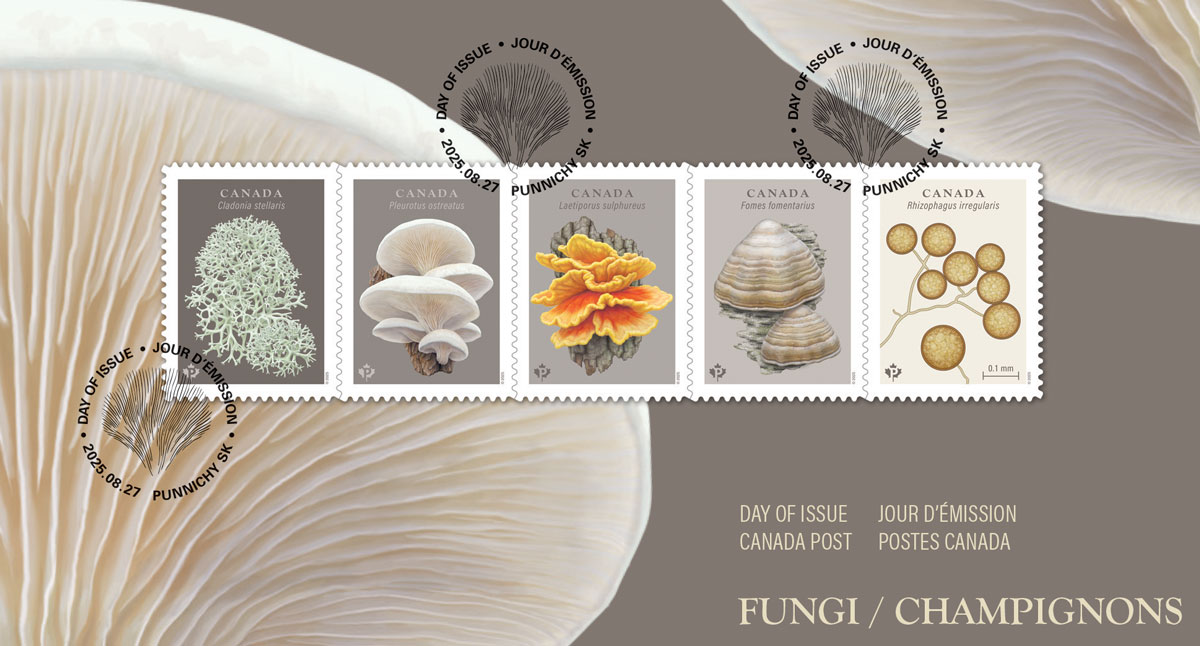 fungi